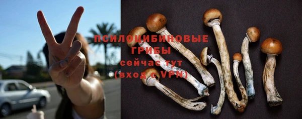 ГАЛЛЮЦИНОГЕННЫЕ ГРИБЫ Козельск