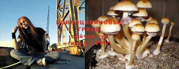 мяу мяу мука Козловка