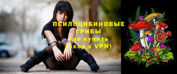 мяу мяу мука Козловка