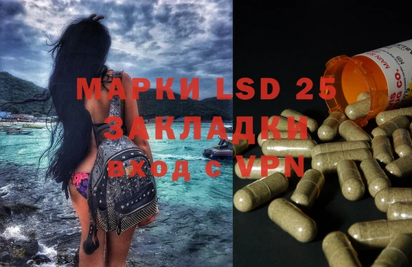 мяу мяу мука Козловка