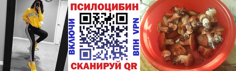 Галлюциногенные грибы Cubensis  Междуреченск 