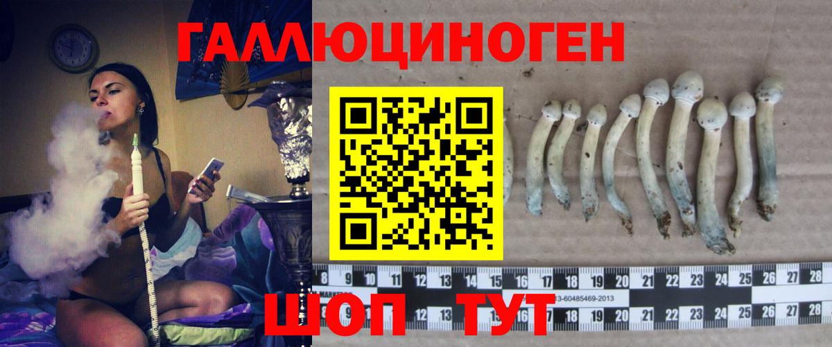 Галлюциногенные грибы Magic Shrooms Междуреченск